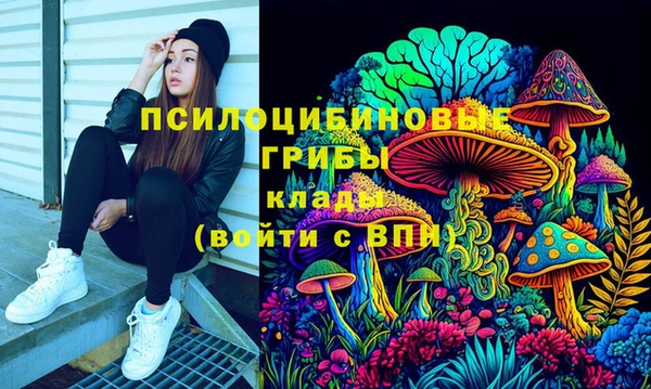 меф Ельня