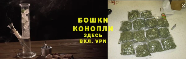 меф Ельня