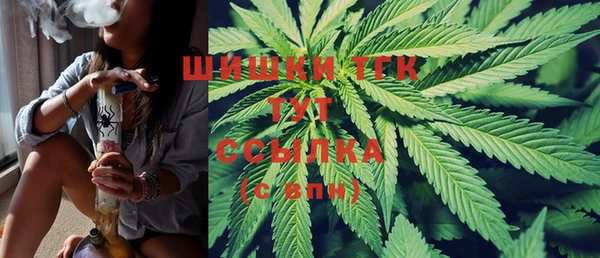 меф Ельня