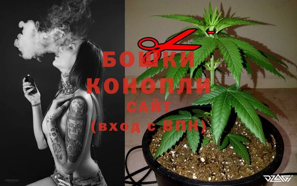 меф Ельня