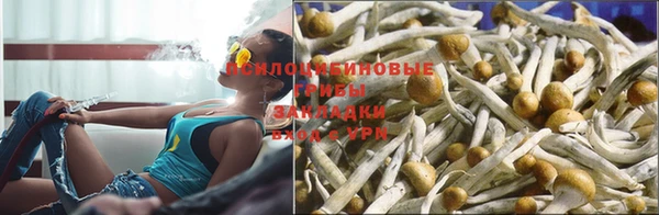 меф Ельня