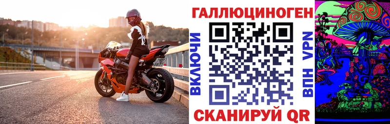 Галлюциногенные грибы мицелий  Купить где  Высоцк 